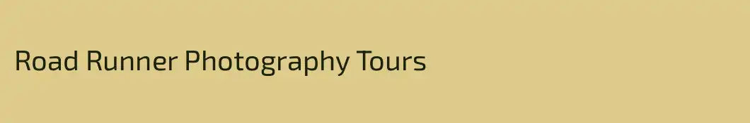 Road Runner Photography Tours